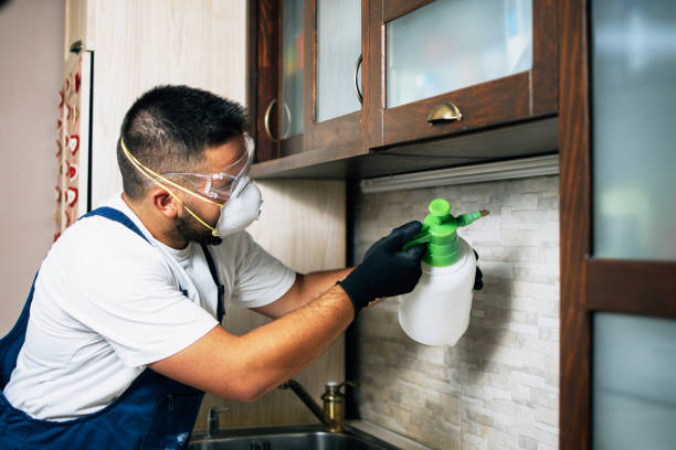 Best Emergency Pest Control  in Sebastian, TX