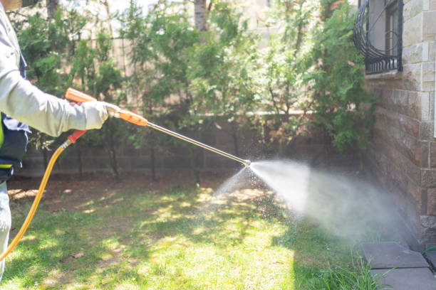 Best Mosquito Control Services  in Sebastian, TX