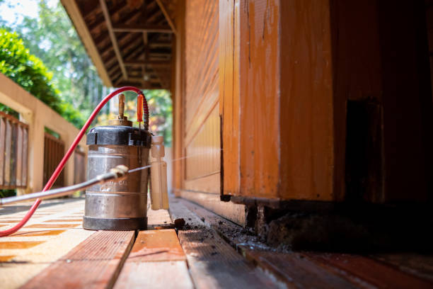 Best Cockroach Control Services  in Sebastian, TX