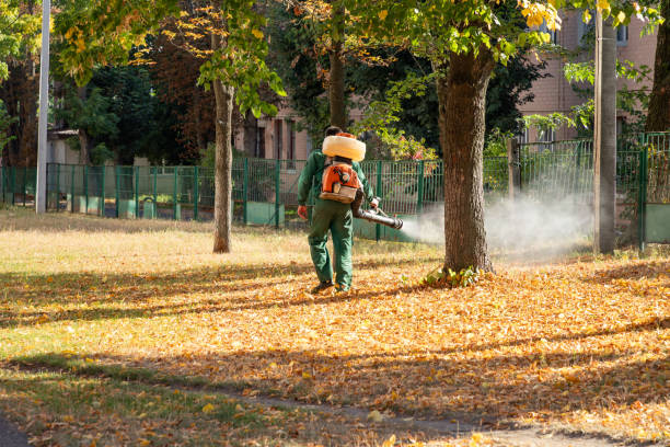 Best Pest Prevention Services  in Sebastian, TX