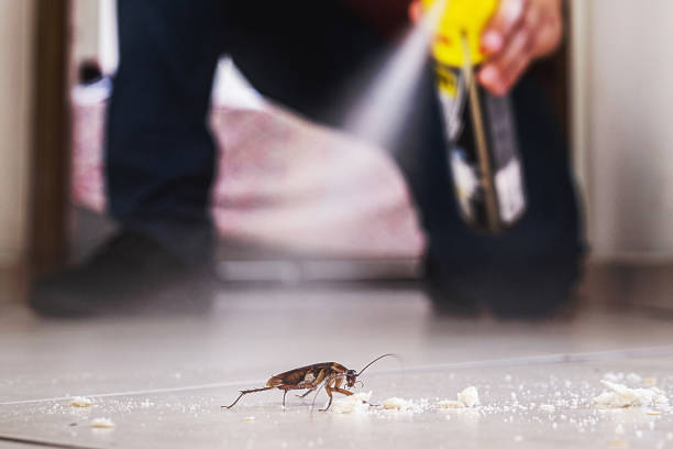  Sebastian, TX Pest Control Pros