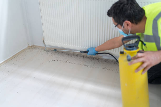 Best Affordable Pest Control Services  in Sebastian, TX